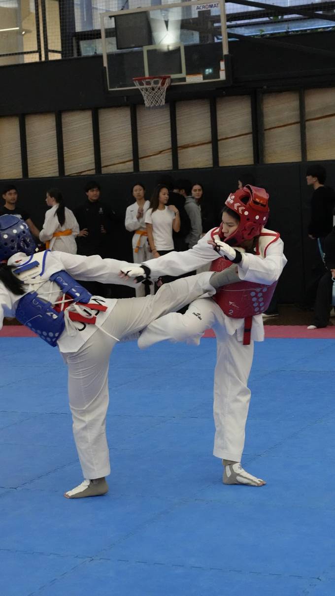 TDog Taekwondo competition G48
