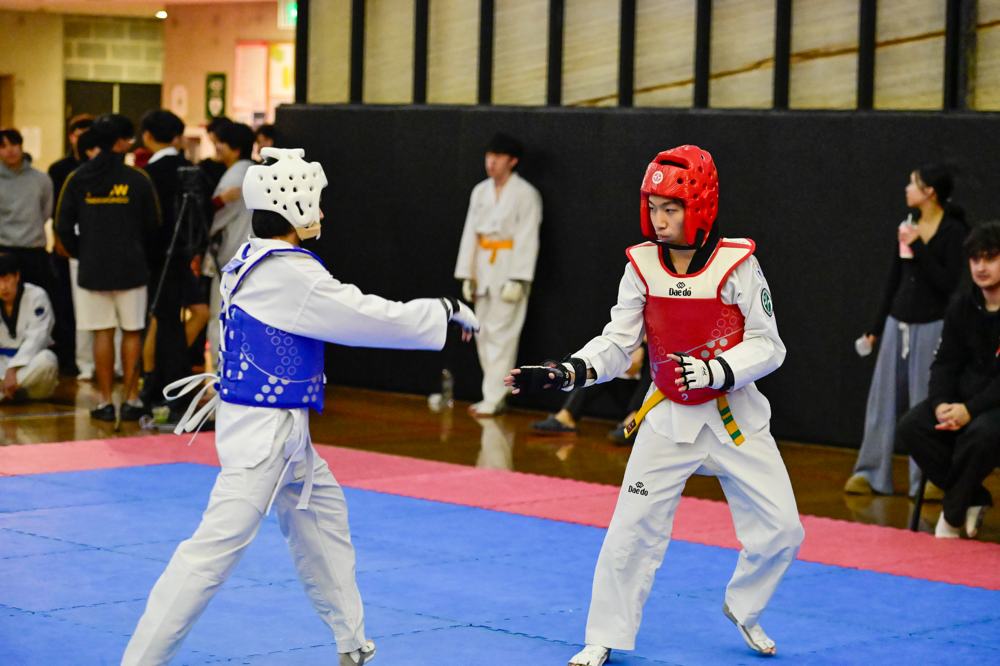 TDog Taekwondo competition G480