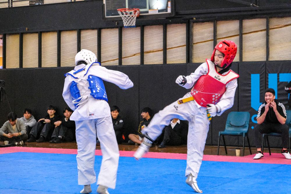 TDog Taekwondo competition G481