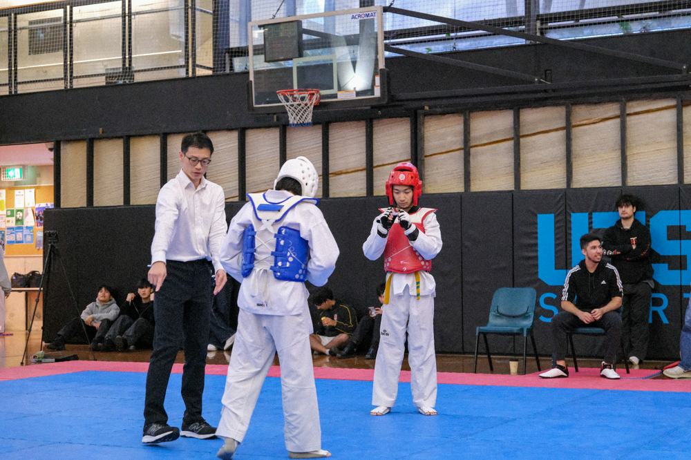 TDog Taekwondo competition G482