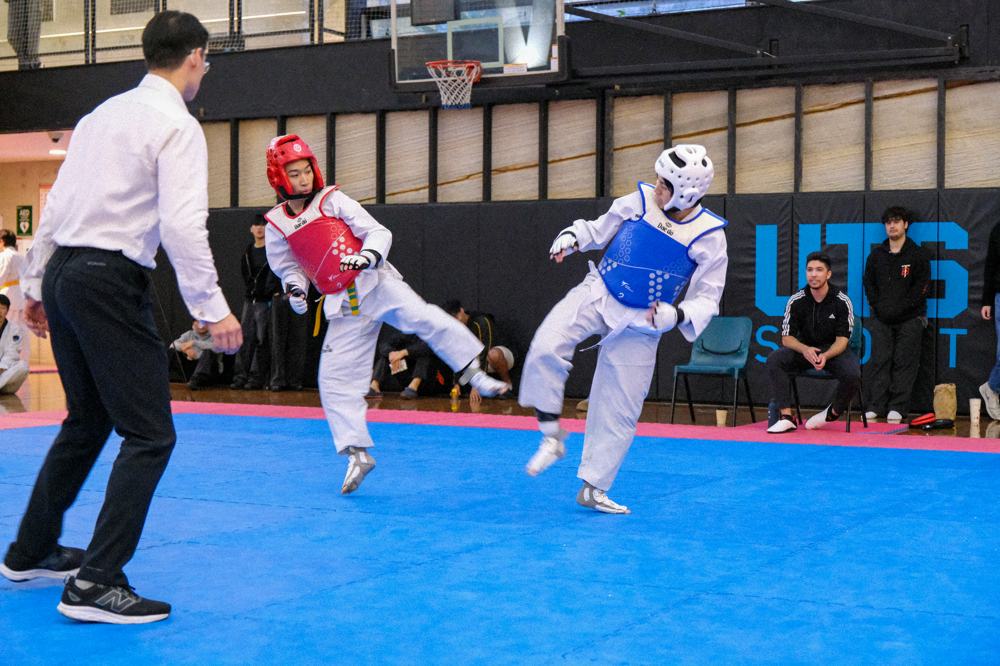 TDog Taekwondo competition G483