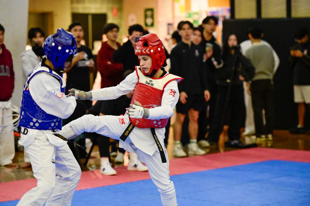 TDog Taekwondo competition G484