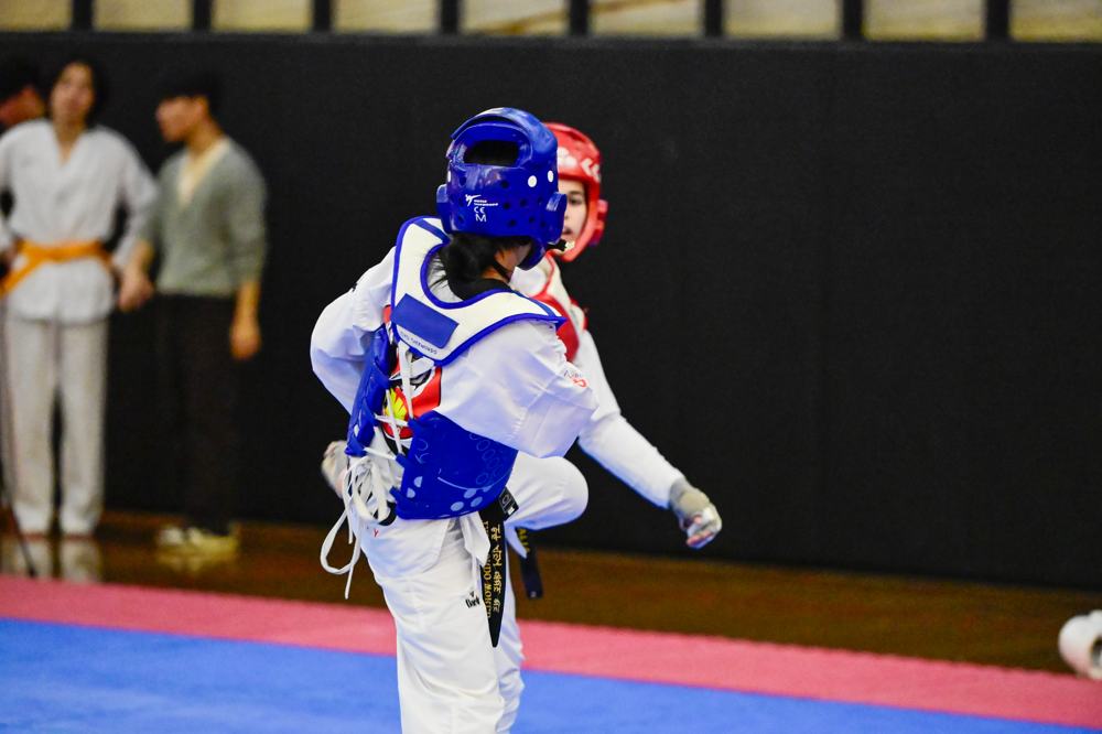 TDog Taekwondo competition G486
