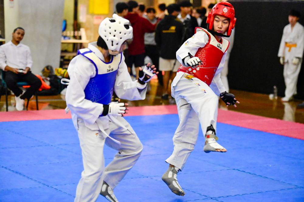 TDog Taekwondo competition G487
