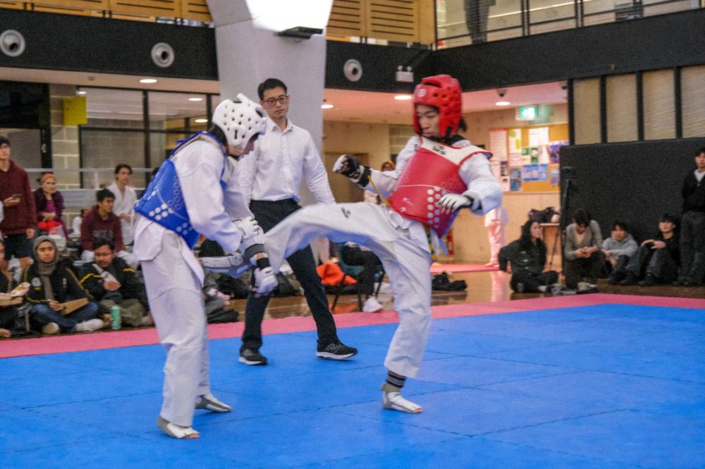 TDog Taekwondo competition G488