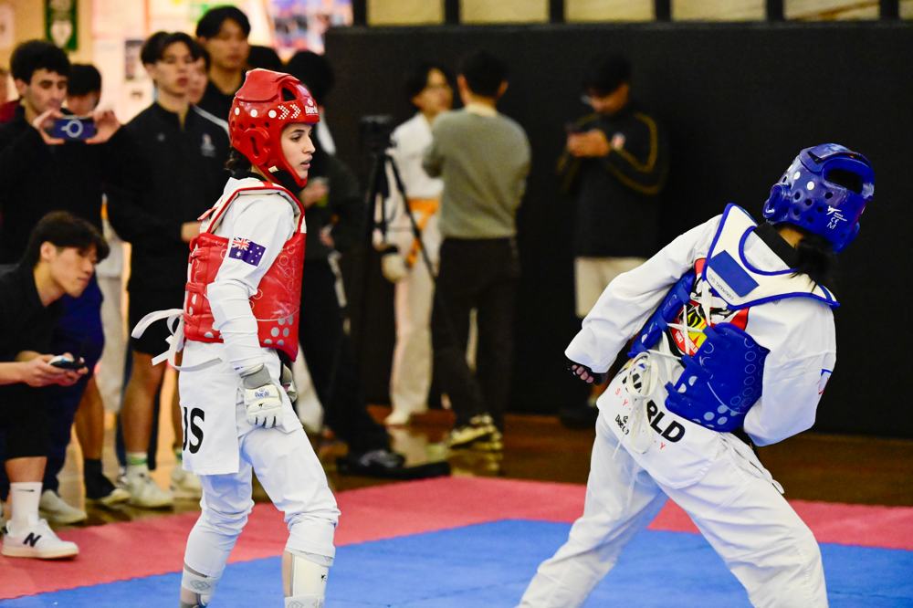 TDog Taekwondo competition G489
