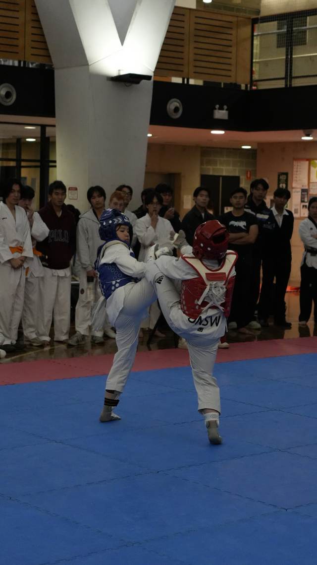 TDog Taekwondo competition G49