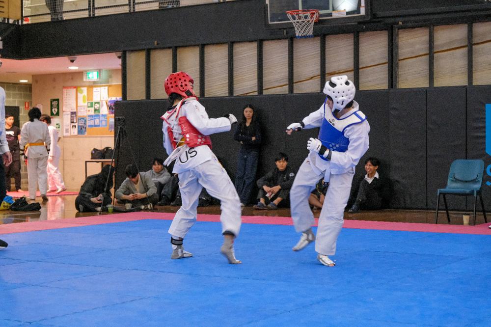 TDog Taekwondo competition G490