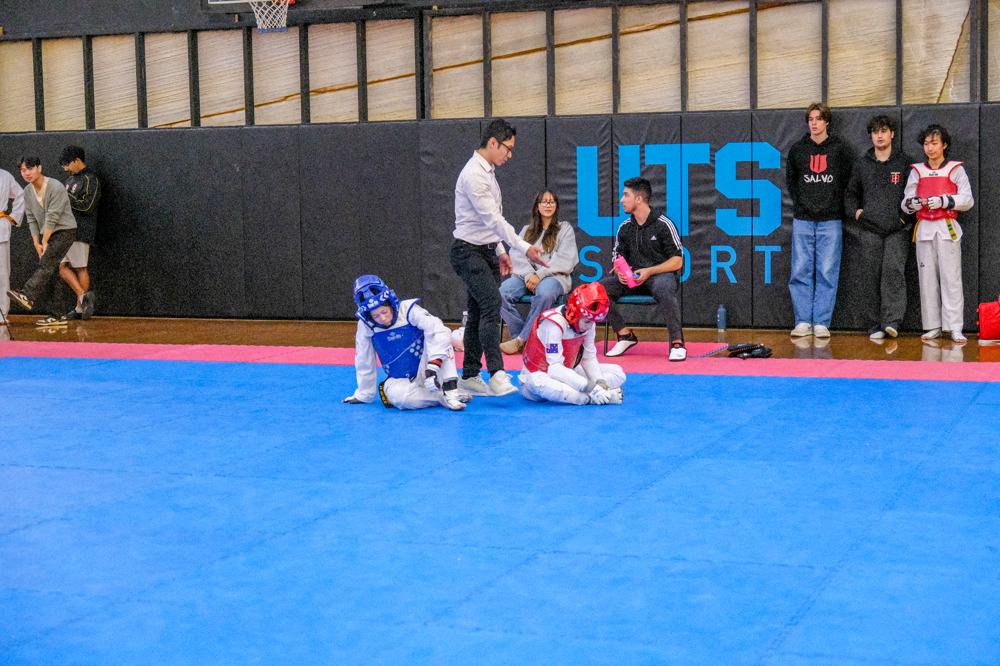 TDog Taekwondo competition G492