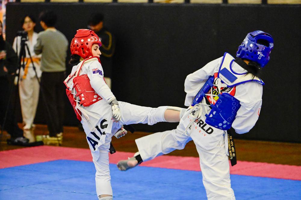TDog Taekwondo competition G493