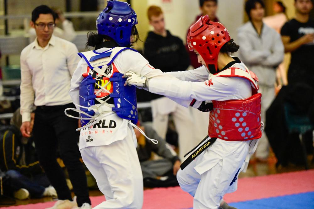 TDog Taekwondo competition G494