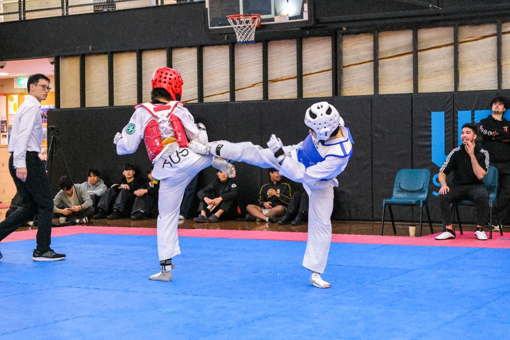 TDog Taekwondo competition G496
