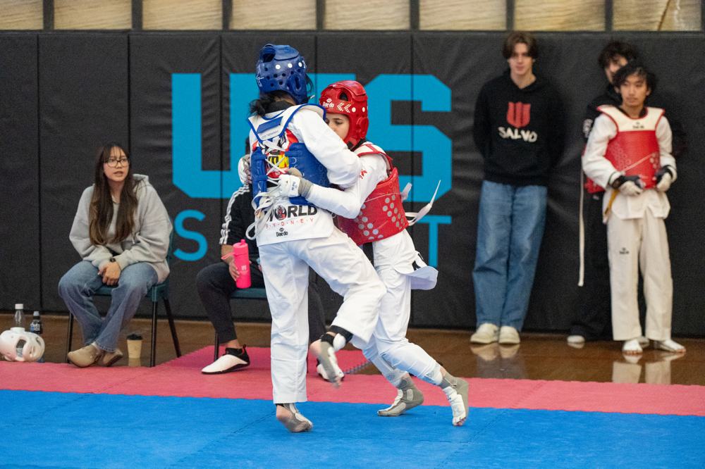 TDog Taekwondo competition G497