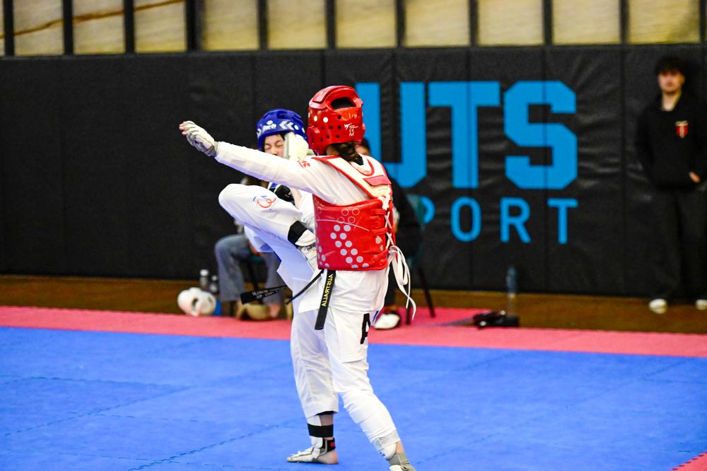 TDog Taekwondo competition G499