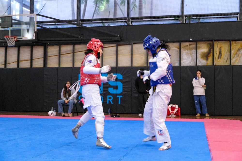 TDog Taekwondo competition G500
