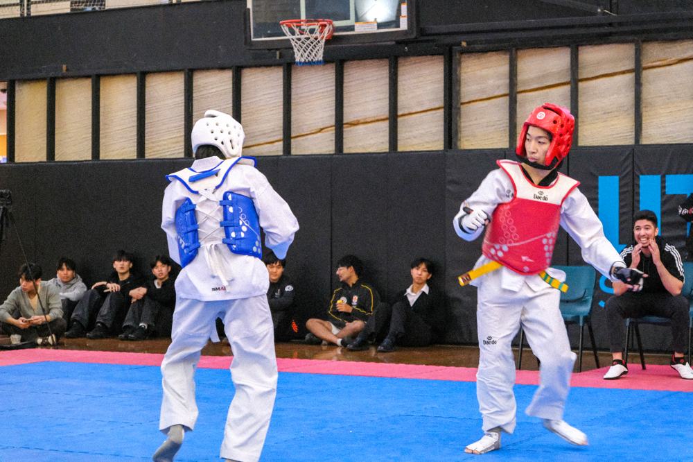 TDog Taekwondo competition G501