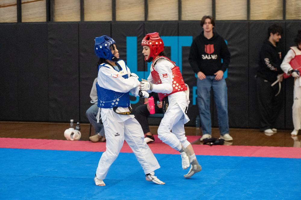 TDog Taekwondo competition G502