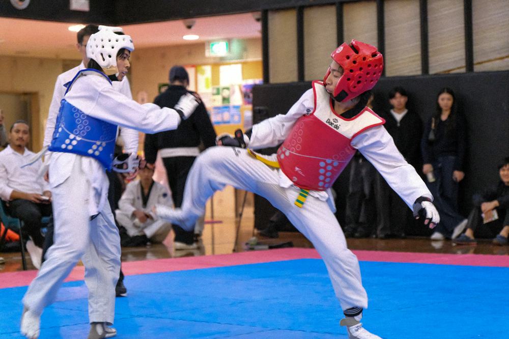 TDog Taekwondo competition G503
