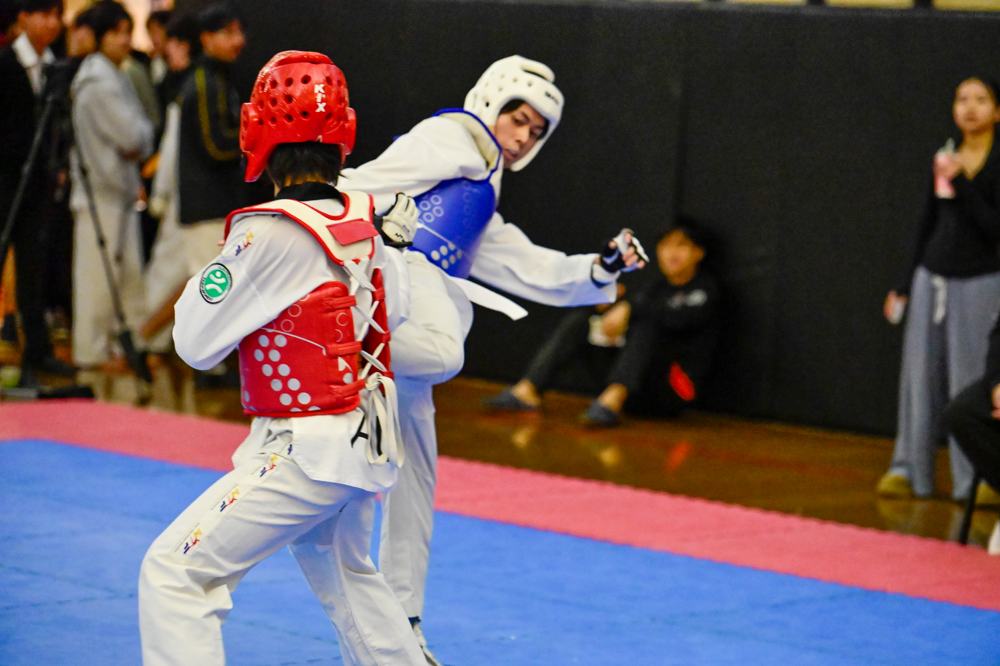 TDog Taekwondo competition G505