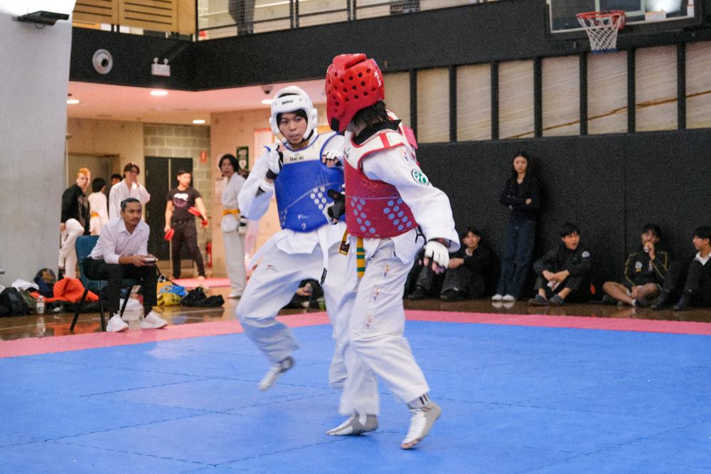 TDog Taekwondo competition G506