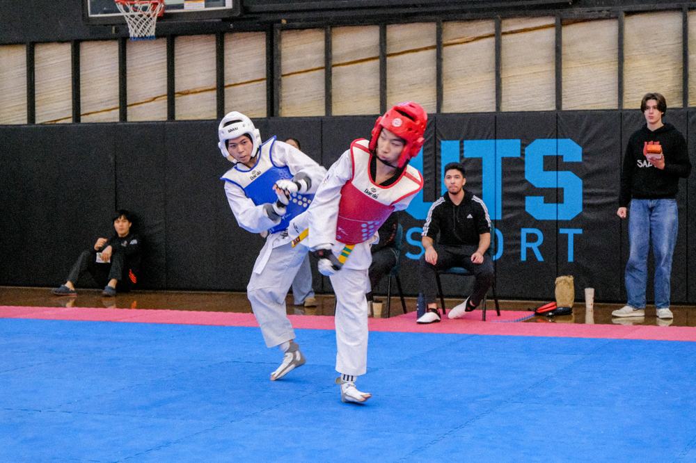 TDog Taekwondo competition G507