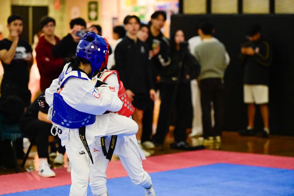 TDog Taekwondo competition G508