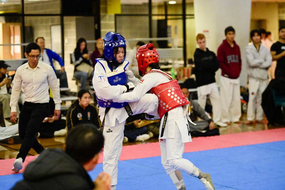 TDog Taekwondo competition G510