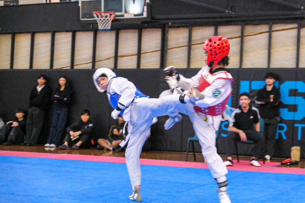 TDog Taekwondo competition G511