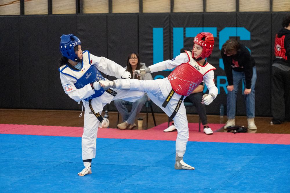 TDog Taekwondo competition G512