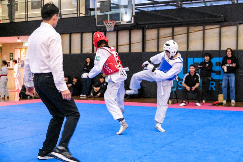 TDog Taekwondo competition G513