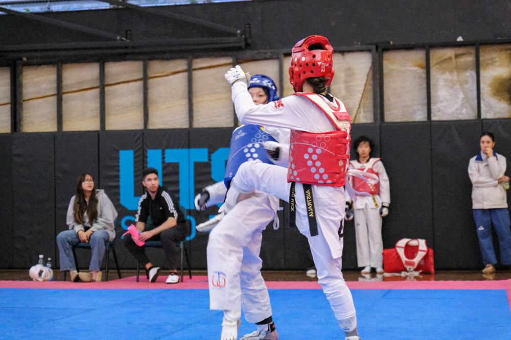 TDog Taekwondo competition G514