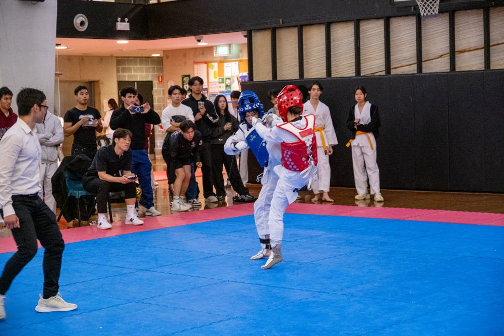TDog Taekwondo competition G515