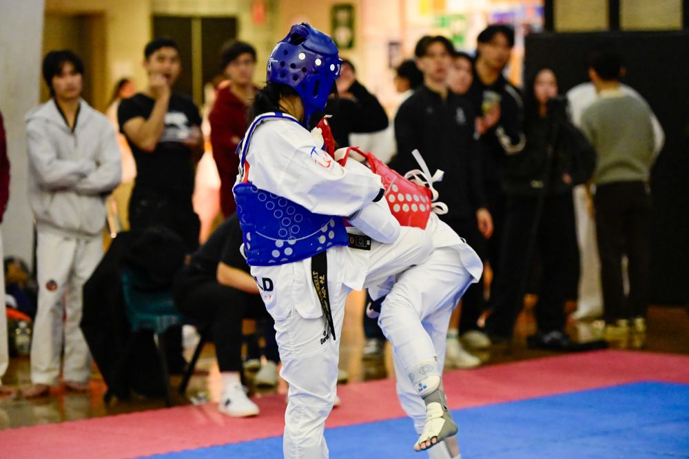TDog Taekwondo competition G516