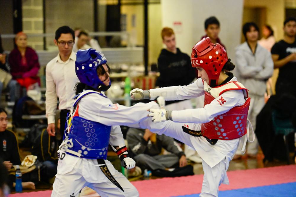 TDog Taekwondo competition G517