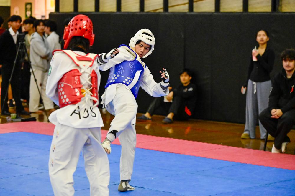 TDog Taekwondo competition G518