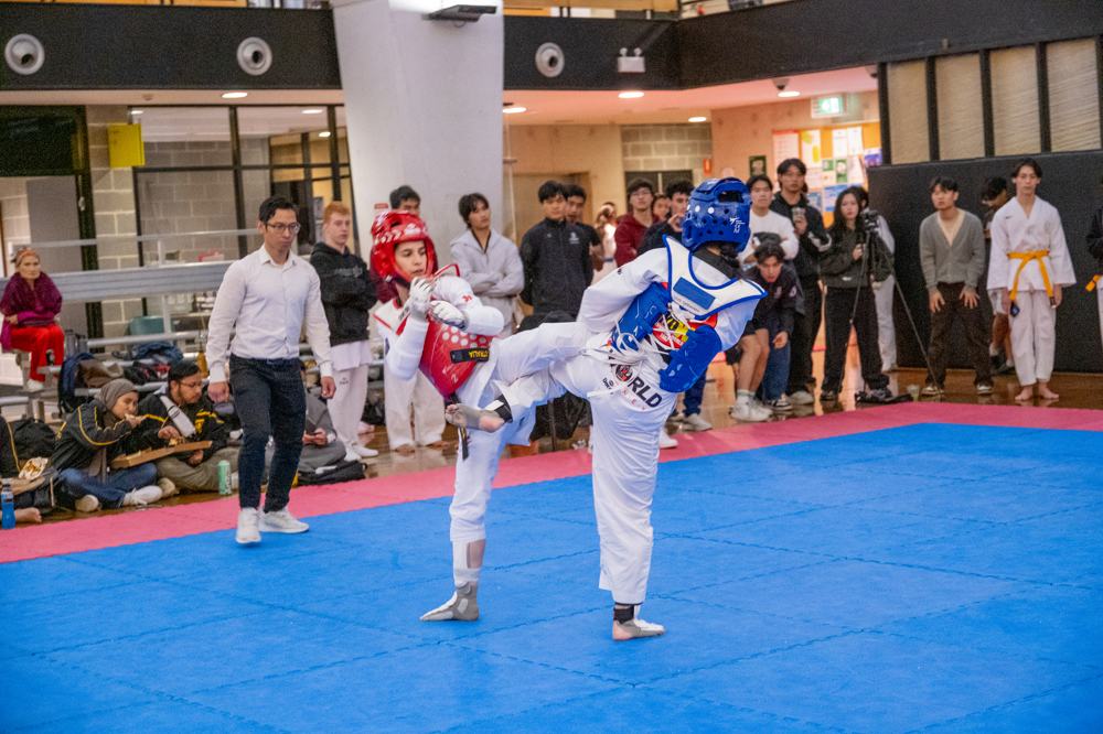 TDog Taekwondo competition G519