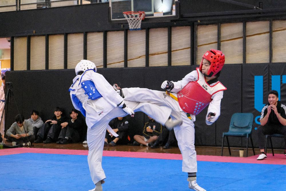 TDog Taekwondo competition G520