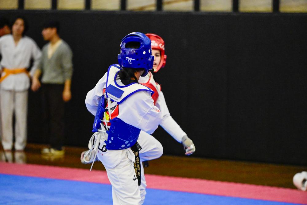 TDog Taekwondo competition G521