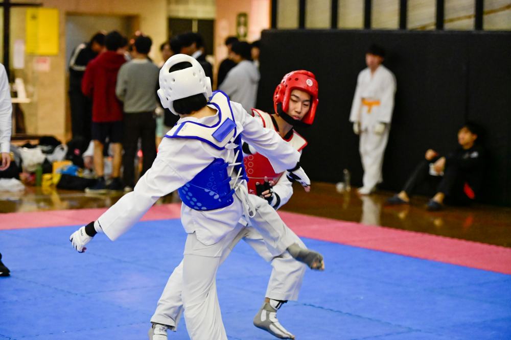 TDog Taekwondo competition G523