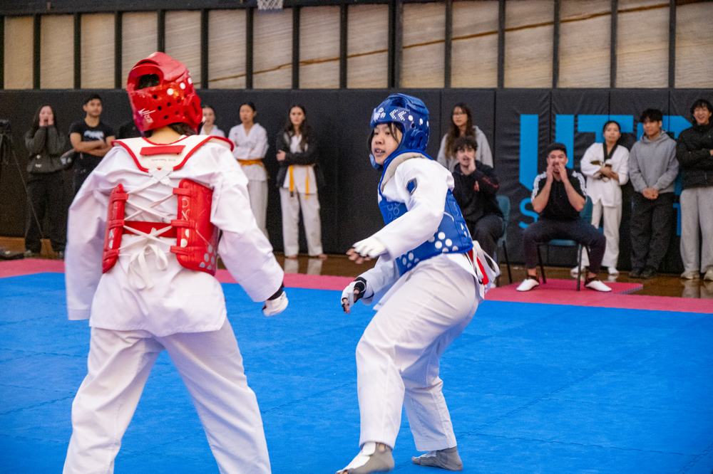 TDog Taekwondo competition G525