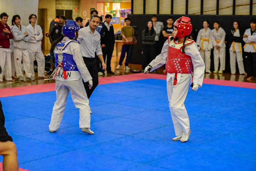 TDog Taekwondo competition G526