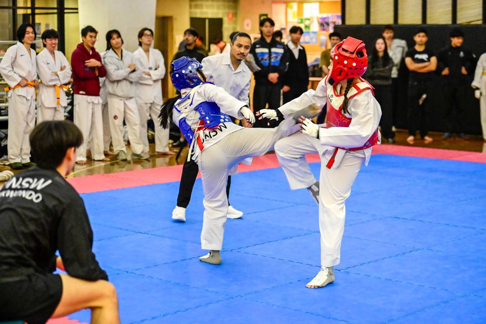 TDog Taekwondo competition G527