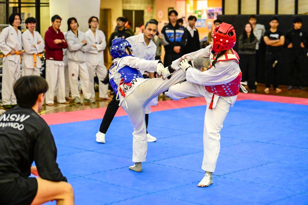 TDog Taekwondo competition G528