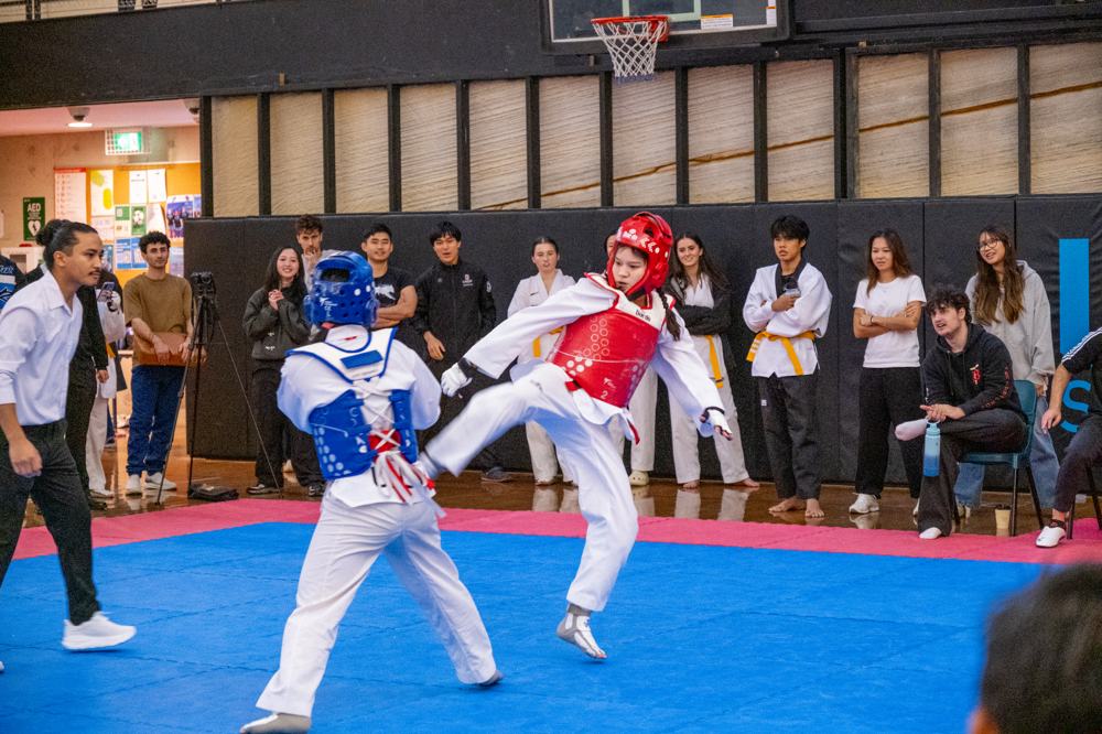 TDog Taekwondo competition G529