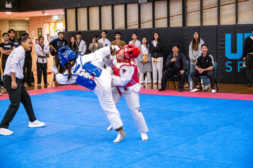 TDog Taekwondo competition G530