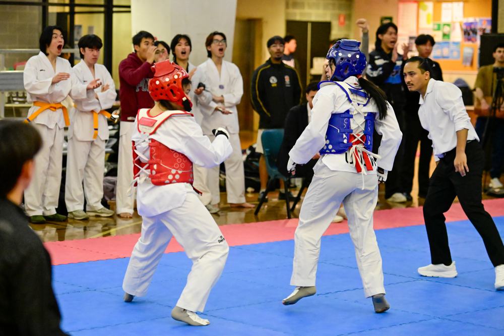 TDog Taekwondo competition G531