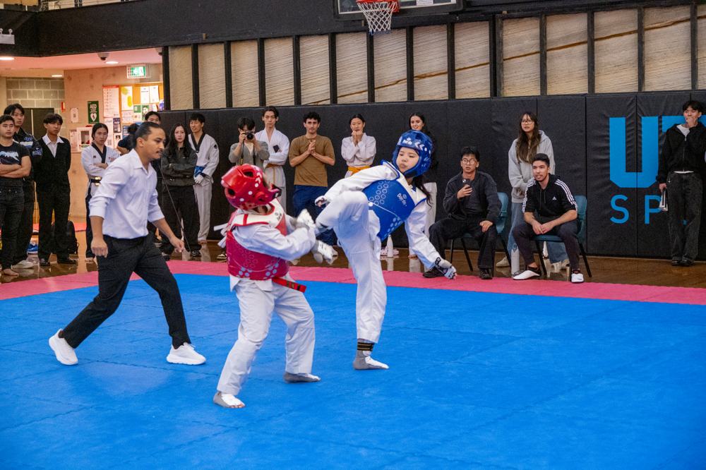 TDog Taekwondo competition G532