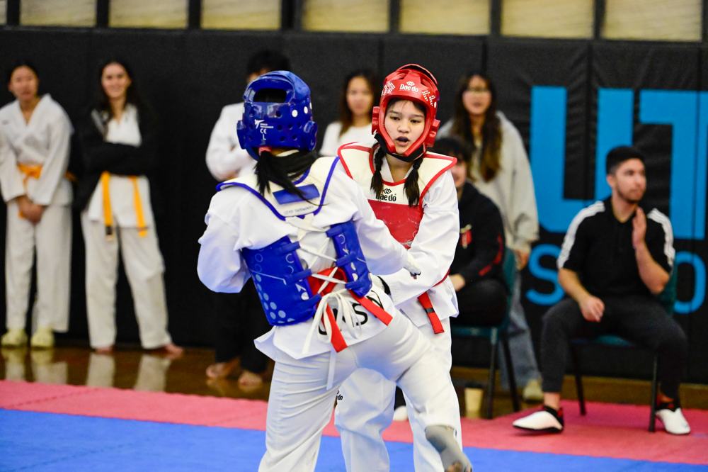 TDog Taekwondo competition G533
