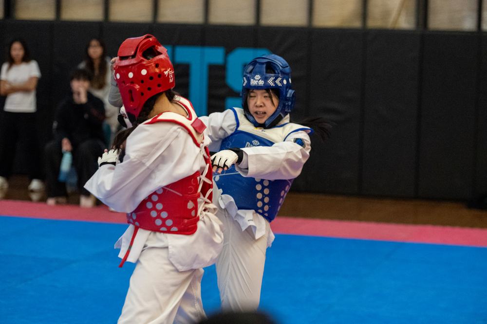 TDog Taekwondo competition G535