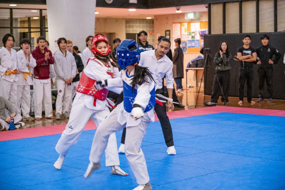 TDog Taekwondo competition G536
